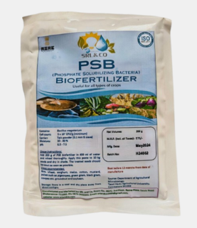 Phosphate Solubilizing Bacteria(PSB) Bio-Fertilizer