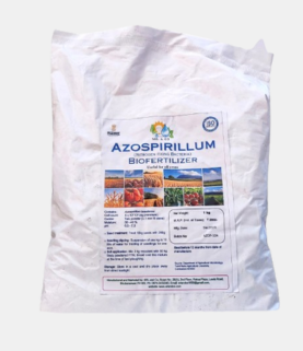 Azospirillum Biofertilizer