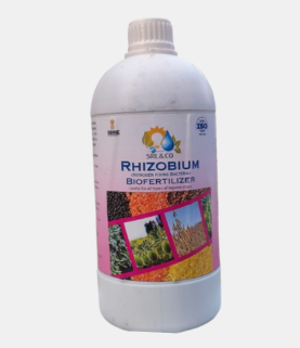 Rhizobium COG15 (Pulses)