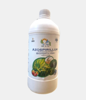 Azospirillum Biofertilizer
